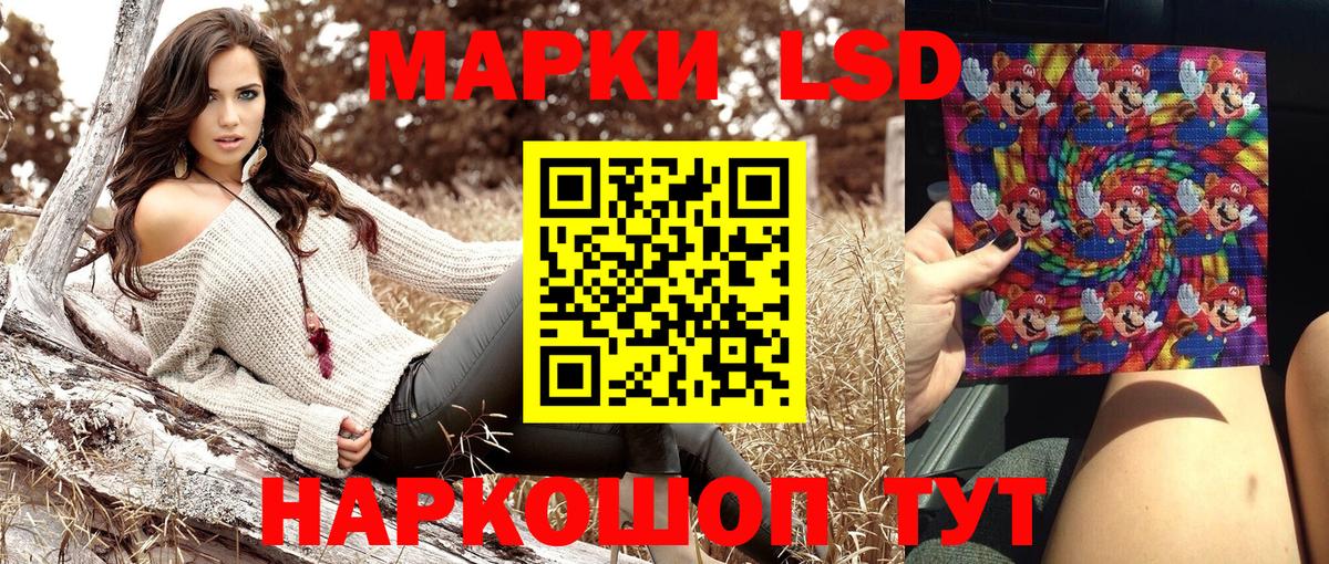 Наркотические марки 1500мкг  Наркотические марки 1500мкг  Вход с VPN  Лесной 