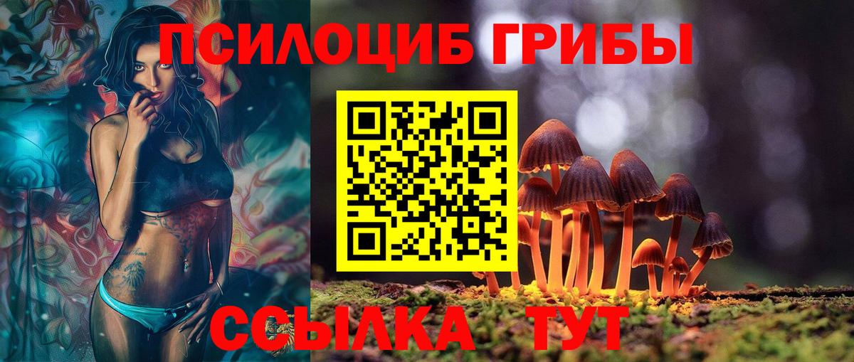 Псилоцибиновые грибы Cubensis Лесной