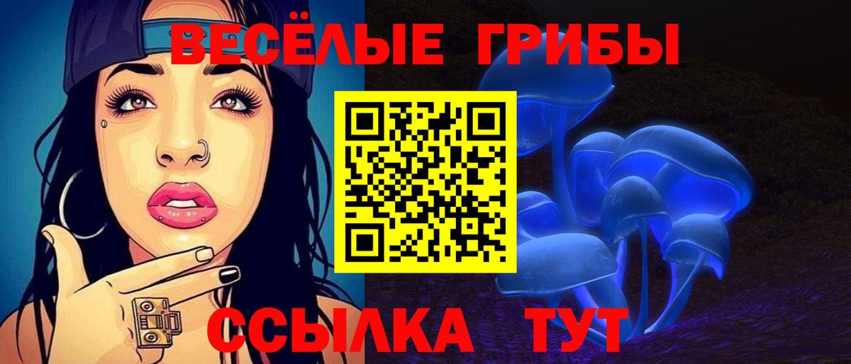 Галлюциногенные грибы MAGIC MUSHROOMS  Галлюциногенные грибы ЛСД  Вход с VPN  Лесной 