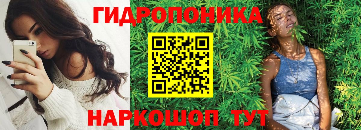 Шишки марихуана White Widow  Конопля Bruce Banner  Лесной  Бошки марихуана конопля  Вход с VPN  Бошки марихуана индика 